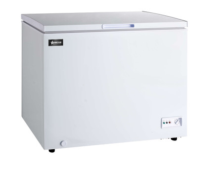 Omcan USA 46503 10 Cu. Ft. White All Stainless Steel Chest Freezer - 115 Volts