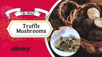 What Is a Truffle? Best Ways to Use Them, and More!