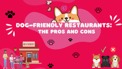 Dog Friendly Restaurants – The Pros and Cons