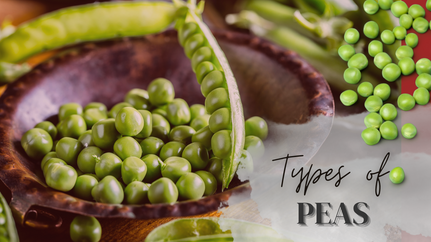 Types of Peas For Cooking