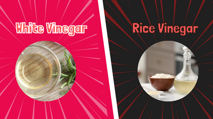 Rice Vinegar Vs. White Vinegar: The Differences