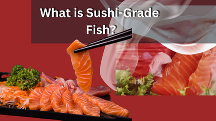 Sushi Grade Fish – What is It?