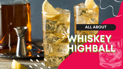 What’s a Whiskey Highball? Best Recipe Tips, History, and More!