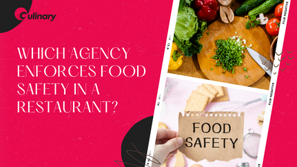 Which Agency Enforces Food Safety in a Restaurant? Safe Food Handling Procedures and more