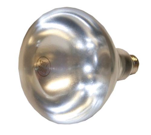 Globe CHL-BULB R40 Bulb