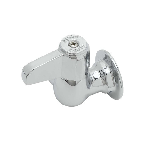 T&S Brass 5F-1WLX00 Faucet wall mount