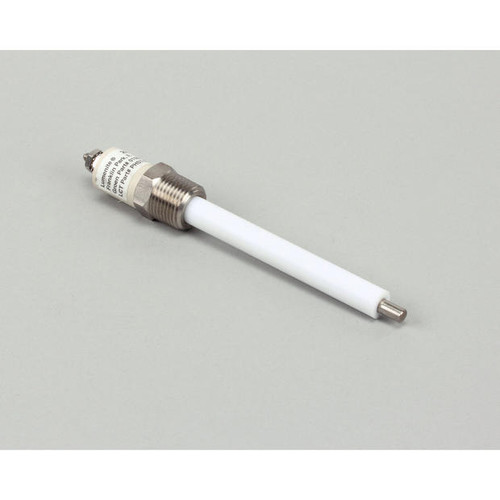 Z015589 ELECTRODE WATER LEVEL