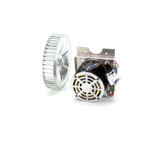 250-1029 KIT,MOTOR,1/3HPDV,10"CAGE 120V