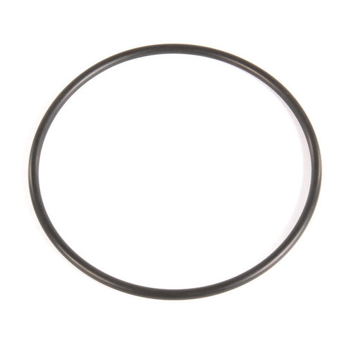 20459 O RING BELT