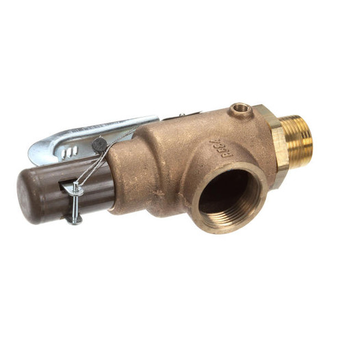 N69806 VALVE SAFETY 100 PSI
