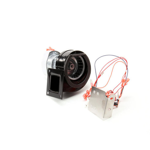 600250 ASSEMBLY,REPL.120V/60HZ BLOWER SWIT