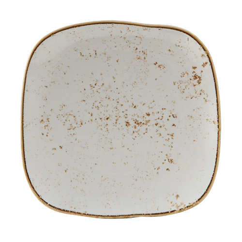 Tuxton GGA-501 Porcelain Agave Square Plate (1 Dozen)