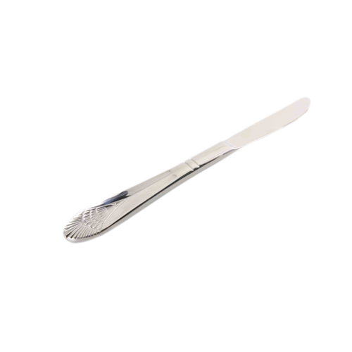 Thunder Group SLEL218 420 Stainless Steel Solid European Dinner Knife