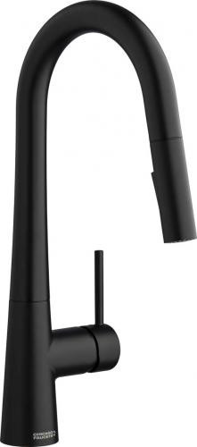 Chicago Faucets 434-ABMB 10.75" W Matte Black Tubular Brass Single Hole Deck Mounted Kitchen Faucet with Pull Down Spout