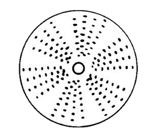 Electrolux 650150 0.68 Stainless Steel Grating Disc