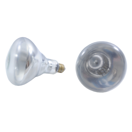 Thunder Group SEJ92001C Clear Uncoated Heat Lamp Bulb - 250 Watts