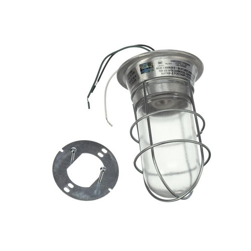 Component Hardware L55-1024 Tempered Glass Globe Tuff-Skin with Wire Guard Canopy Lighting Fixture