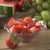 Carlisle 453107 4 5/8" Dia. Plastic Tulip Berry Dish