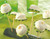 Matfer Bourgeat 336004 Flexipan Pomponnette Mold 96 Per Sheet 1/4 Oz. Cap. 1-1/2" Dia. x 5/8"H Food Grade Silicone