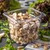 Carlisle 3068507 2.5 Qt. 1/6 Size Pan PolyCarbonate Clear Storplus Food Pan