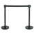 Winco CGS-38K Crowd Guidance System 35-1/2"H