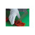 San Jamar DFG1000-XL D-Shield Glove X-Large