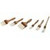 Carlisle 4037400 2" Wide Bleached Sparta Chef Series Basting Brush