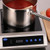 Globe GIR18 Heavy-duty Induction Range - 120 Volts