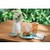 Carlisle 5400115 11" W Plastic Blue Mingle Dinner Plate