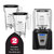 Blendtec C825C11Q-B1GB1A 3.8 HP Connoisseur 825 Blender Package with Two 75 Oz. FourSide Jars