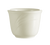 CAC China GAD-45 4.5 Oz. Bone White Porcelain Garden State Chinese Style Tea Cup (6 Dozen Per Case)