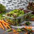 Carlisle 3066107 1/3 Size 3.8 Qt. PolyCarbonate Clear Storplus Food Pan