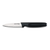 Dexter 31437 3.25" Scalloped Edge Paring Knife with Black Handle