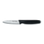 Dexter 31436 3.25" Carbon Steel Blade Basics Paring Knife