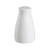 CAC China 101-SS Bone White Porcelain Round Lincoln Salt Shaker (3 Dozen Per Case)