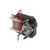 6160021 MOTOR,208-240V,50/60HZ,