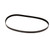 065639 BELT POLY