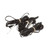 831985 PROBE, #18NB-NTC-2.5M DIXELL XW60VS