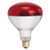 Winco EHL-BR Heat Lamp Bulb - 50 Watts