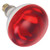 Winco EHL-BR Heat Lamp Bulb - 50 Watts