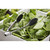 TableCraft Products 74 9-1/2" Stainless Steel Utility Tongs