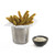 TableCraft Products AC885S 3 3/8" Dia. x 3 3/8" Round Brushed Stainless Steel Fry Cup