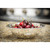 TableCraft Products H826 5 Qt. 11 1/2" Dia. x 4" Stainless Steel Mixing Bowl