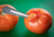 TableCraft Products 10573 4.25" W x 1" D x 0.2" H Stainless Steel Tomato Corer