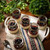 TableCraft Products SGJ6 6 Oz. Glass Cash & Carry Single-Serve Jar With Lid - 12 Pack