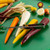 TableCraft Products 46 6" x 1" x 1/2" Tempered Steel Economy Peeler - 24/Case
