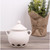 Harold Import 43606 Ventilated Sides Ceramic HIC Garlic Keeper