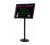 AARCO P-7BK 53" H Black Broadcaster Display Stand