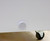 Omcan USA 45291 29" W White Aluminum Flat Glass Ice Cream Freezer