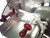 Omcan USA 31438 13" Dia. Blade Manual Feed Meat Slicer - 120 Volts 1-Ph